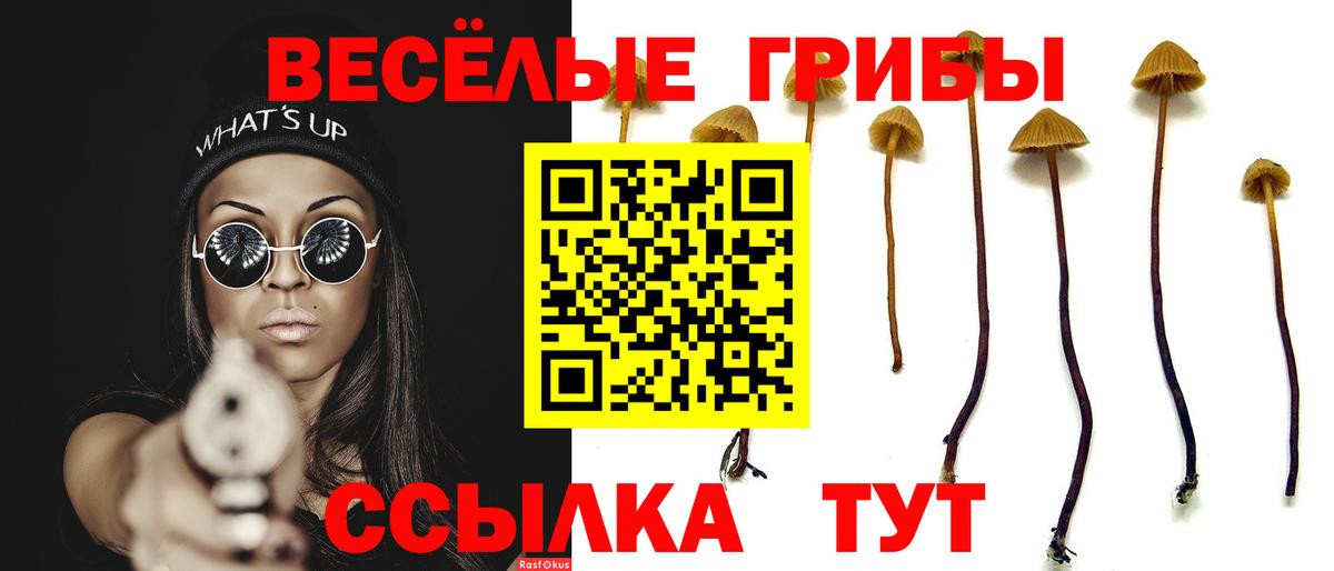 Апатиты  Псилоцибиновые грибы Psilocybe  Вход с VPN 